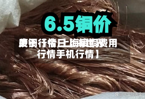 关于【今日上海世界废铜行情,上海废铜费用行情手机行情】
