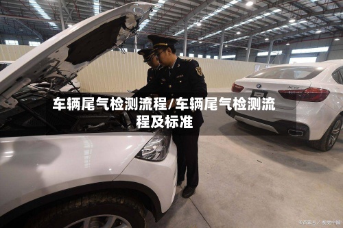 车辆尾气检测流程/车辆尾气检测流程及标准