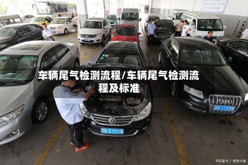 车辆尾气检测流程/车辆尾气检测流程及标准-第2张图片