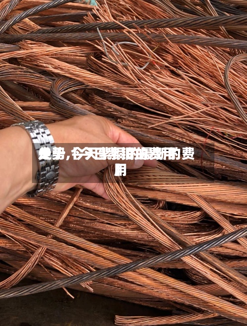 关于【今日紫铜的费用走势,今天紫铜的最新的费用】