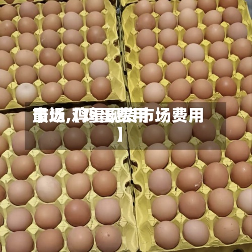 最近【鸡蛋费用市场,鸡蛋现货市场费用】-第2张图片