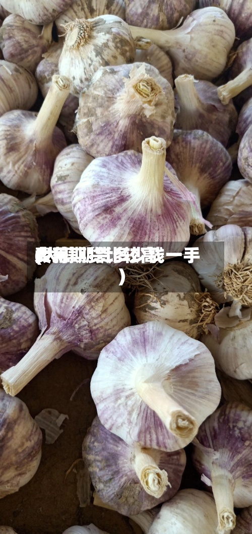 大蒜期货比较高费用(大蒜期货多少钱一手)-第2张图片