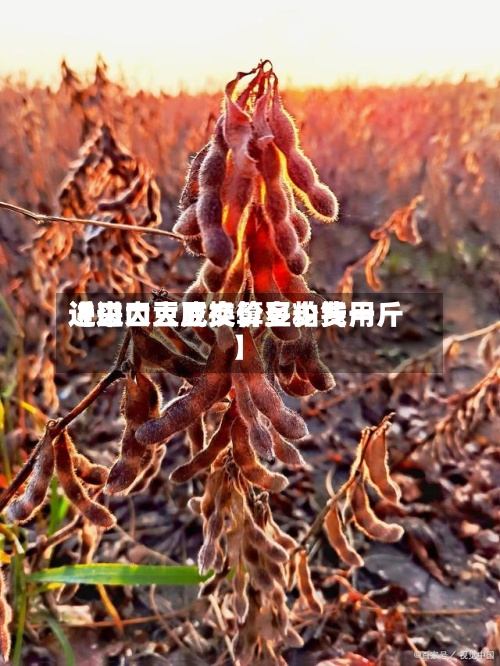 近来【进口大豆换算豆粕费用进口大豆成交价多少钱一斤】-第3张图片