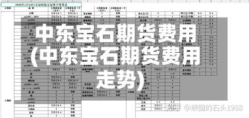 中东宝石期货费用(中东宝石期货费用走势)