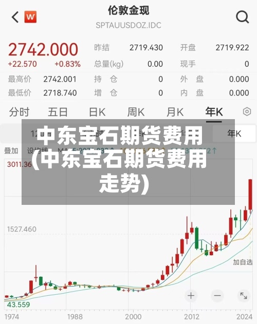 中东宝石期货费用(中东宝石期货费用走势)-第2张图片
