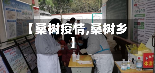 【桑树疫情,桑树乡】