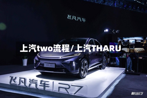 上汽two流程/上汽THARU