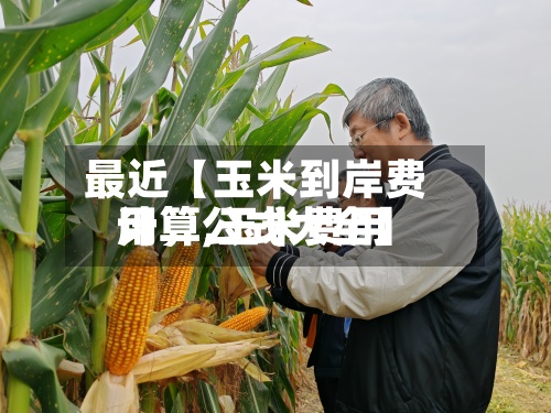 最近【玉米到岸费用计算,玉米费用计算公式大全】-第2张图片