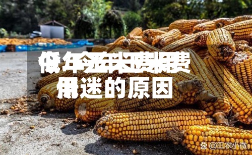 今年玉米费用低/今年玉米费用低迷的原因-第3张图片