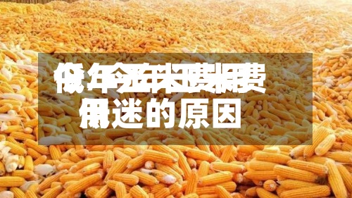 今年玉米费用低/今年玉米费用低迷的原因-第2张图片