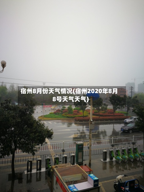 宿州8月份天气情况(宿州2020年8月8号天气天气)