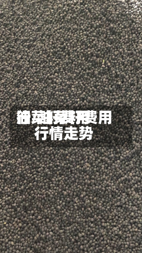 油菜籽费用行/油菜籽费用行情走势