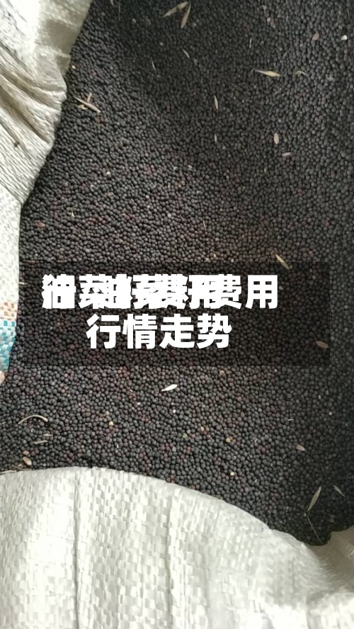 油菜籽费用行/油菜籽费用行情走势-第3张图片