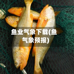 鱼业气象下载(鱼气象预报)-第2张图片