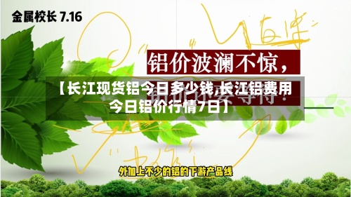 【长江现货铝今日多少钱,长江铝费用今日铝价行情7日】-第2张图片