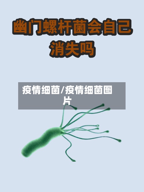 疫情细菌/疫情细菌图片