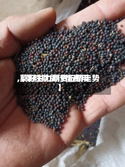 【菜籽期货行情费用,菜籽主力期货行情走势】-第2张图片