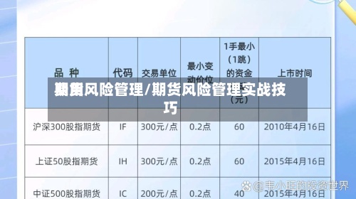 费用期货风险管理/期货风险管理实战技巧