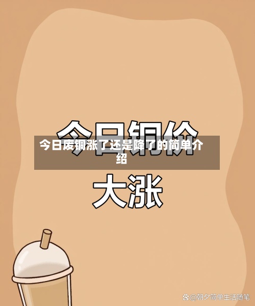 今日废铜涨了还是降了的简单介绍-第3张图片
