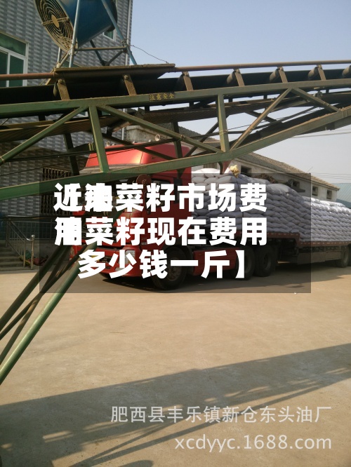 近来【油菜籽市场费用油菜籽现在费用多少钱一斤】-第3张图片