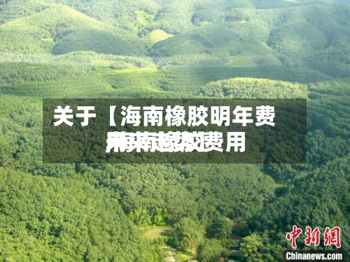 关于【海南橡胶明年费用,海南橡胶费用未来走势】-第2张图片