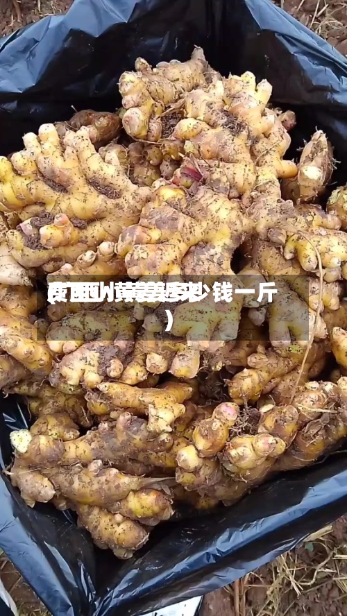 广西小黄姜近来费用(广西小黄姜多少钱一斤)