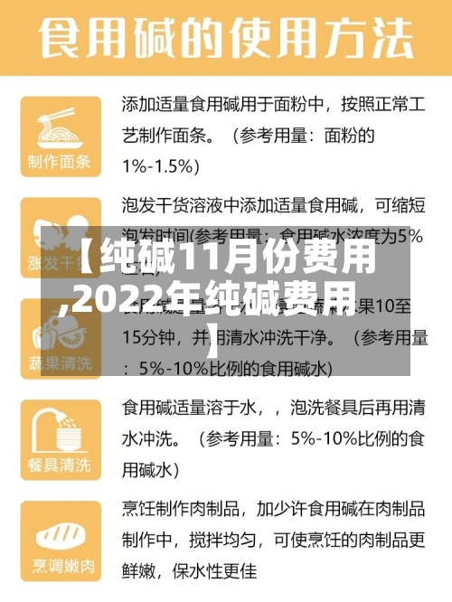 【纯碱11月份费用,2022年纯碱费用】