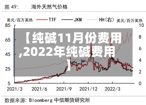 【纯碱11月份费用,2022年纯碱费用】-第2张图片