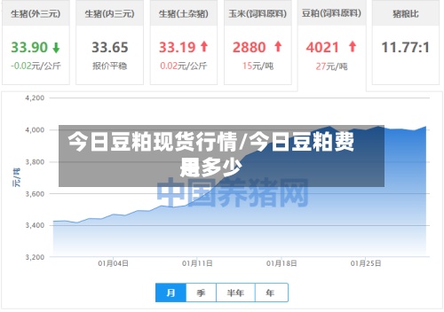 今日豆粕现货行情/今日豆粕费用是多少-第3张图片