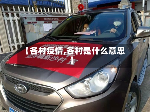 【各村疫情,各村是什么意思】-第3张图片