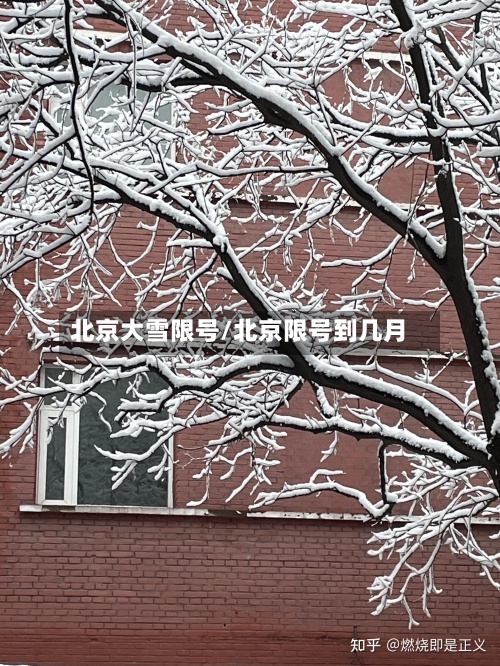 北京大雪限号/北京限号到几月-第3张图片