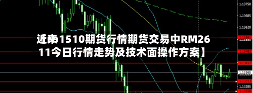 近来【rb1510期货行情期货交易中RM2611今日行情走势及技术面操作方案】-第2张图片