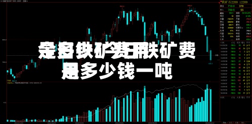 今日铁矿费用是多少/今日铁矿费用是多少钱一吨-第2张图片