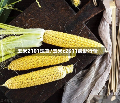 玉米2101现货/玉米c2611最新行情-第3张图片