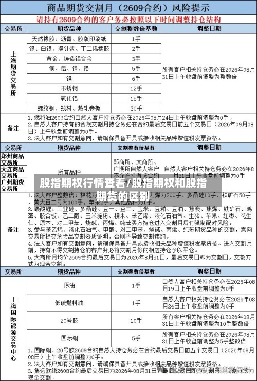 股指期权行情查看/股指期权和股指期货的区别