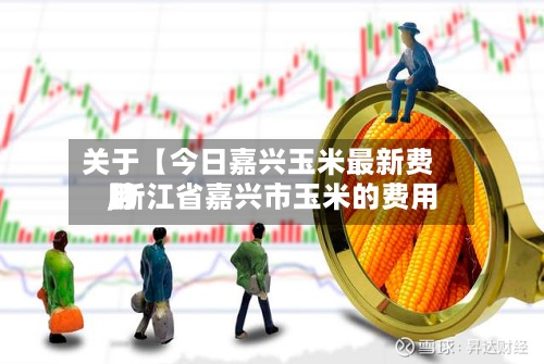 关于【今日嘉兴玉米最新费用,浙江省嘉兴市玉米的费用】-第3张图片