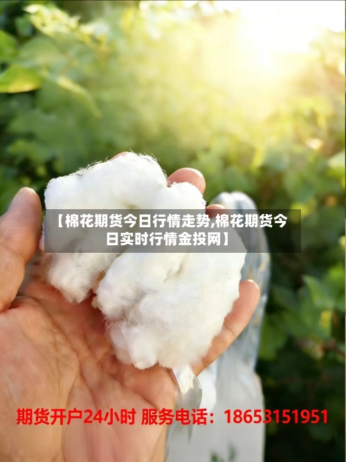 【棉花期货今日行情走势,棉花期货今日实时行情金投网】