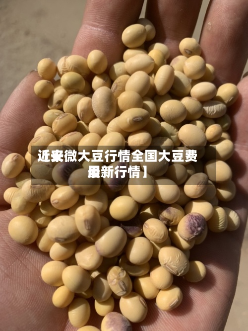 近来【安微大豆行情全国大豆费用最新行情】-第2张图片