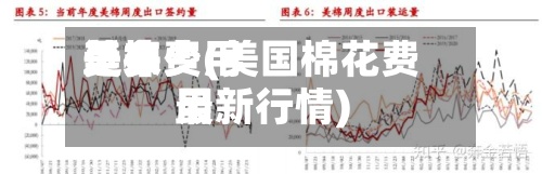 近来美棉费用是多少(美国棉花费用最新行情)-第2张图片