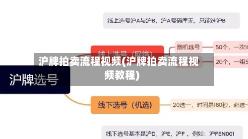 沪牌拍卖流程视频(沪牌拍卖流程视频教程)