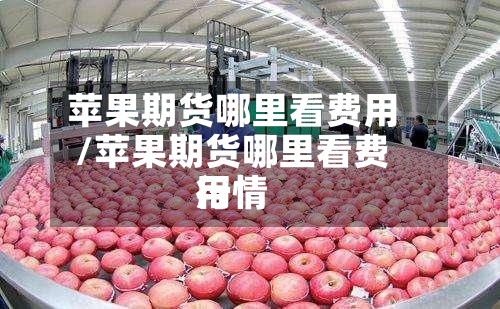 苹果期货哪里看费用/苹果期货哪里看费用行情-第2张图片
