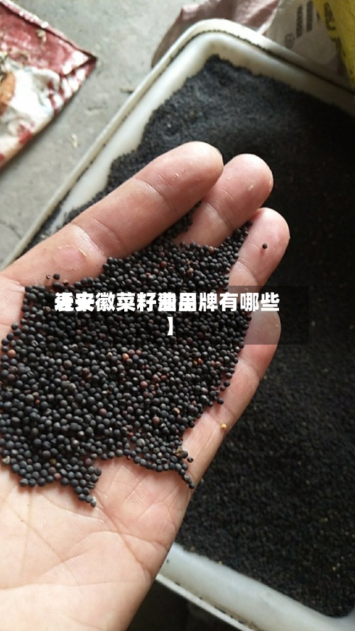 近来【安徽菜籽费用表安徽菜籽油品牌有哪些】-第2张图片