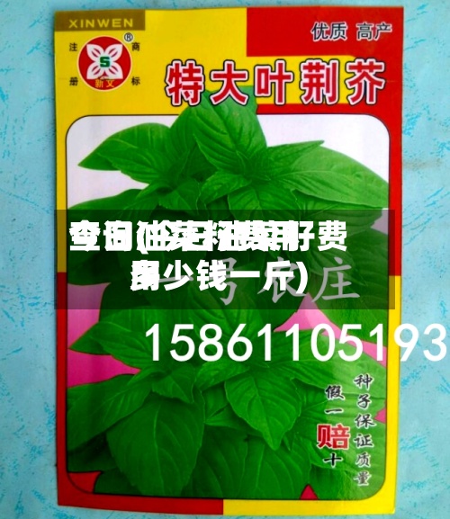 今日油菜籽费用查询(今日油菜籽费用多少钱一斤)