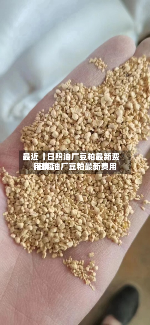 最近【日照油厂豆粕最新费用,日照油厂豆粕最新费用行情】