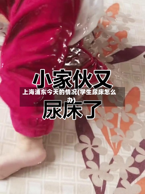 上海浦东今天的情况(学生尿床怎么办)