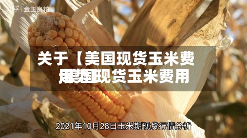关于【美国现货玉米费用,美国现货玉米费用走势】-第2张图片