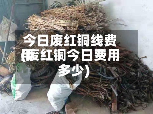 今日废红铜线费用(废红铜今日费用多少)