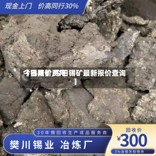【锡精矿费用今日报价,今日锡矿最新报价查询】
