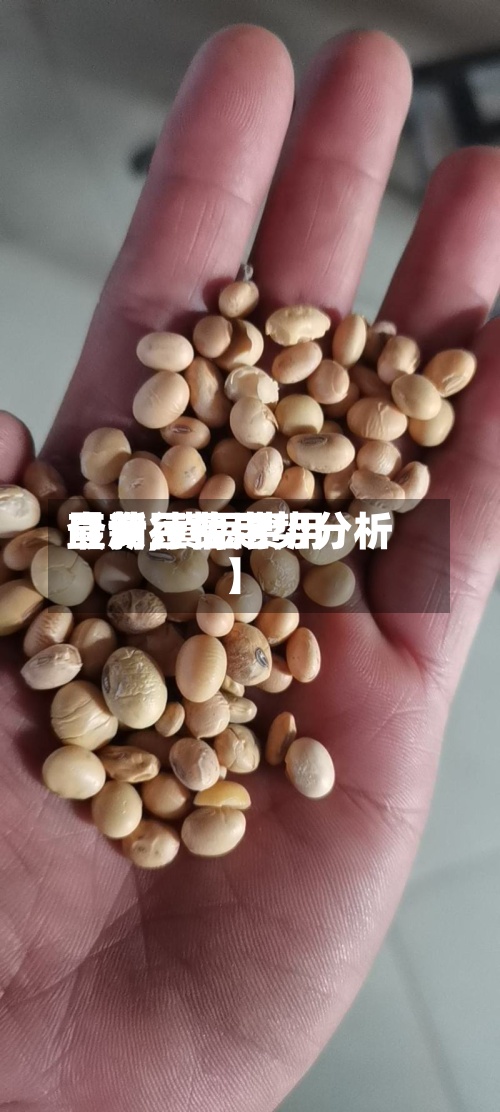 【黄豆费用查询,黄豆费用最新行情走势分析】