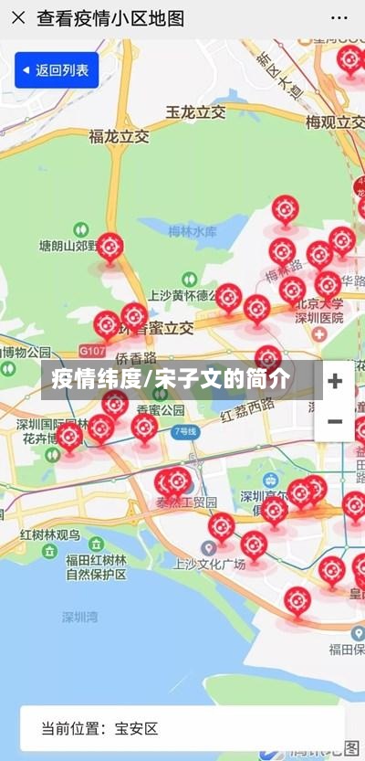 疫情纬度/宋子文的简介-第2张图片
